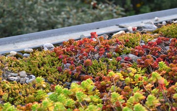 the cost of Walshaw green roof installation