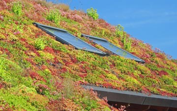Walshaw living roof systems